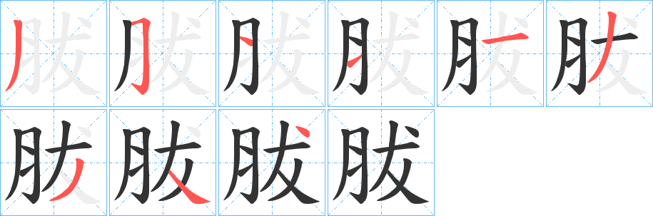 胈字笔画写法