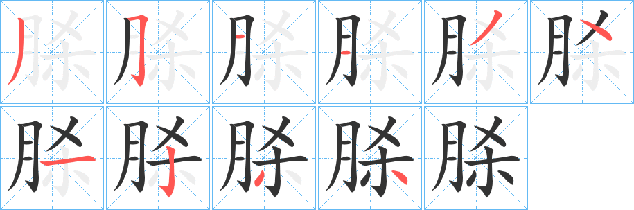 脎字笔画写法