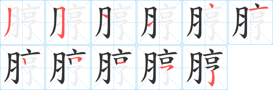 脝字笔画写法