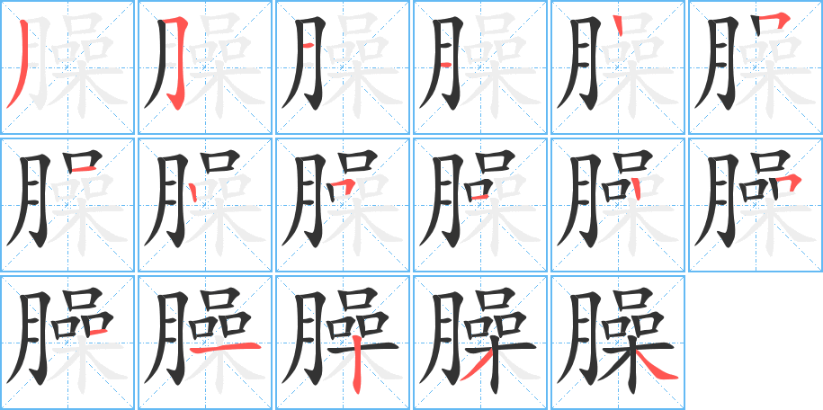 臊字笔画写法