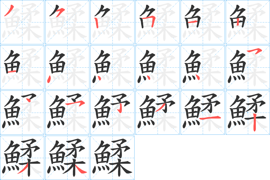 鰇字笔画写法