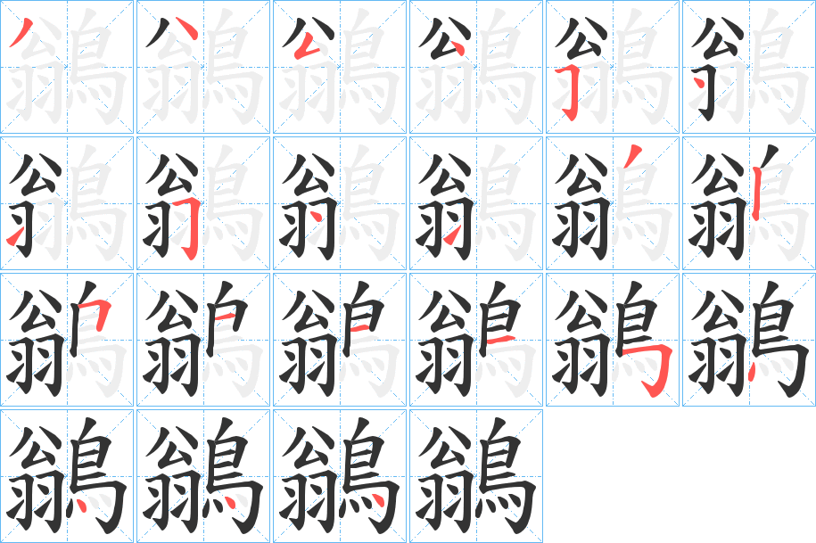 鶲字笔画写法