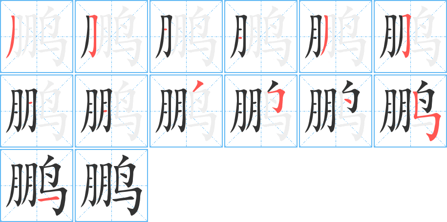 鹏字笔画写法